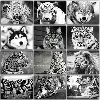 5D DIY Diamantový Malování Kit tmavé zvíře, kůň, Vlk, pes, kočka, tygr, leopard Plné Náměstí A Kulaté výšivky mozaika Cross stitch Malování
